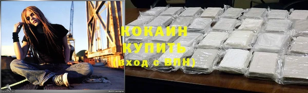 ECSTASY Горняк