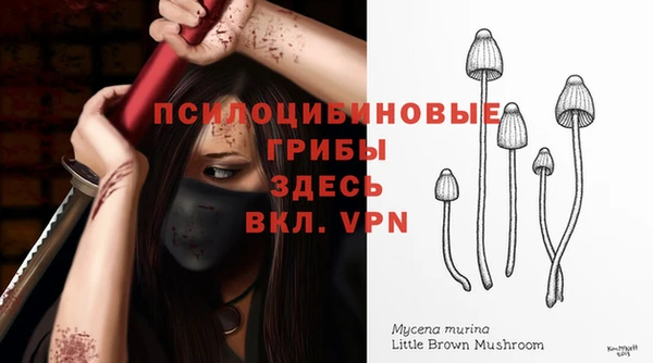 ECSTASY Горняк