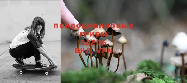 ECSTASY Горняк