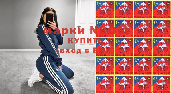 прущий лед Гусь-Хрустальный