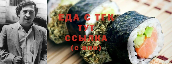 ECSTASY Горняк